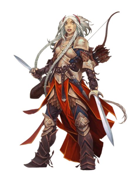 Female Human Fighter Rogue Pathfinder Pfrpg Dnd Dandd 35 5th Ed D20
