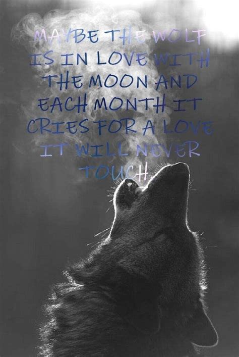 Cry Wolf Quote Alone Wolf Crying Wolf Quotes Wolf Cry Wolf Photos
