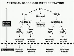 Abg Interpretation And Arterial Blood Gases Analysis Freemedicalmcqs Com