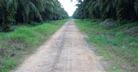 Menentukan Sph Atau Kerapatan Tanaman