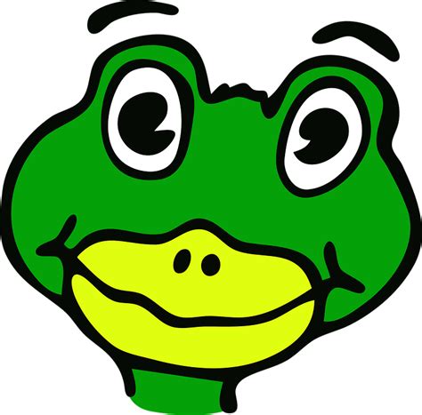 Frog Funny Amphibian Free Vector Graphic On Pixabay