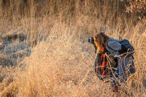 Female Nature Photographer Taking Photo Of Tall Grass In Sunlight Stock