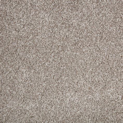 Lifeproof Superiority Ii Color Gobi Desert Texture 12 Ft Carpet