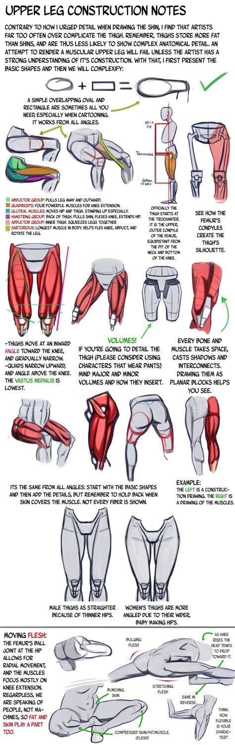 Peroneal tendonitis affects these tendons, and can make movement difficult and painful. Thigh Construction Tutorial by N3M0S1S on deviantART http ...