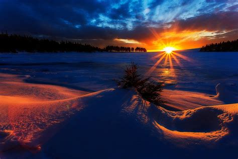 Download Sunbeam Sun Sunrise Snow Nature Winter Hd Wallpaper