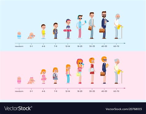 Stages Of Growing Up Life Cycle Graph Royalty Free Vector