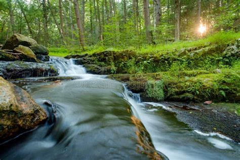 Misty Woodland Waterfall Stock Image Image Of Outdoors 130668355