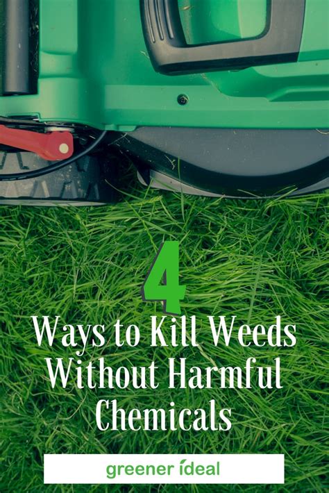 4 Ways To Kill Weeds Without Harmful Chemicals Greener Ideal