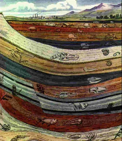 Sediment Layers Geologia Fósseis Ciências Da Terra