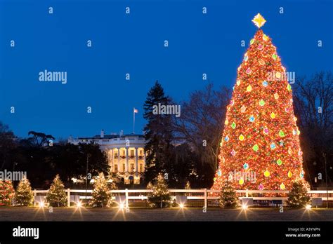 National Christmas Tree White House Washington Dc Stock Photo Alamy