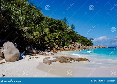Praslin Seychelles Tropical Island With Withe Beaches And Palm Trees