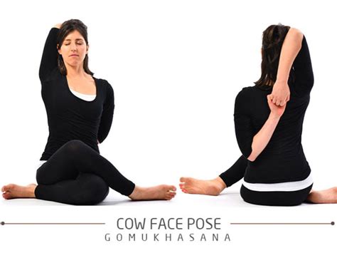 Top More Than 139 Supine Cow Face Pose Latest Vova Edu Vn