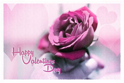 Valentines Day Card Free Stock Photo Public Domain Pictures