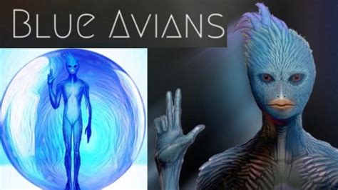 12th Dimensional Blue Avian Channeling Incredible Energy Youtube