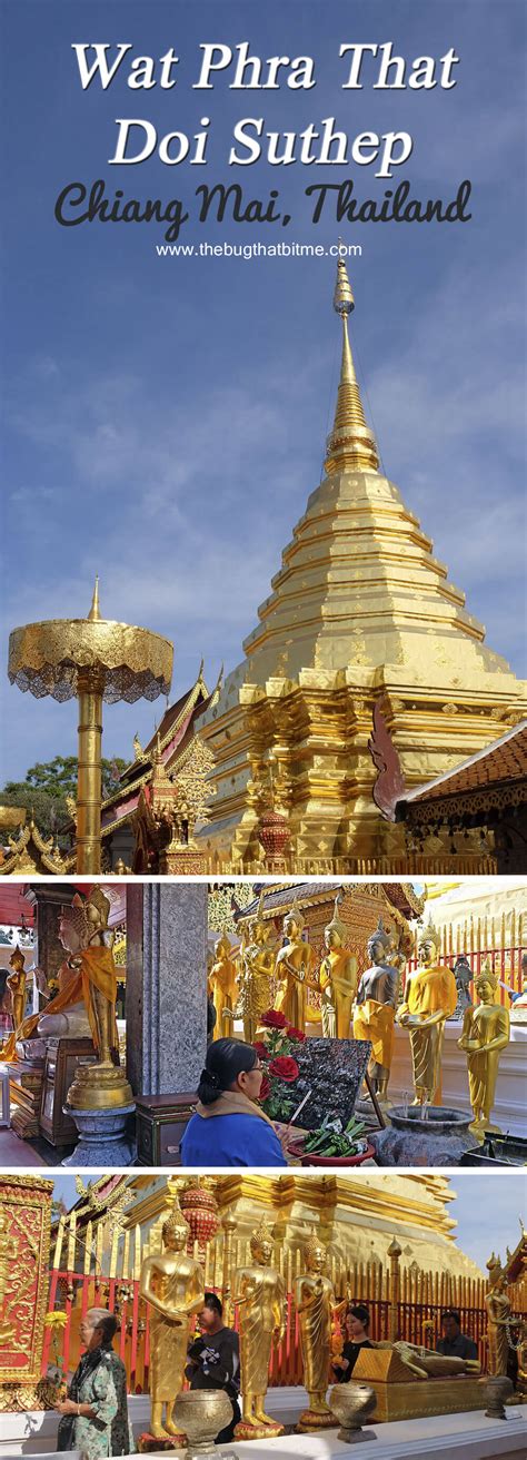 Wat phrathat doi suthep (fr); Wat Phra That Doi Suthep, Chiang Mai, Thailand - The Bug ...