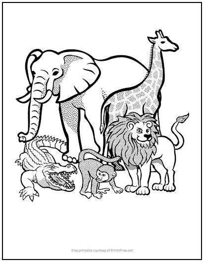 African Animals Kids Coloring Page Animal Coloring Pages African