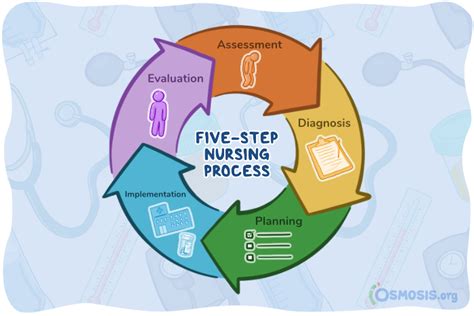 Apie Nursing Process Nursing Process Overview Adpie Assessment
