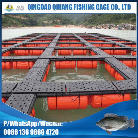 China Hdpe Aquaculture Equipment For Tilapia Fish Farming In Lake My