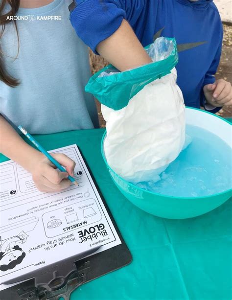 Arctic Animal Adaptations Blubber Science Experiment For Kids In 2023