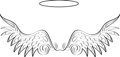 Angel Wings And Halo Vector Free Images At