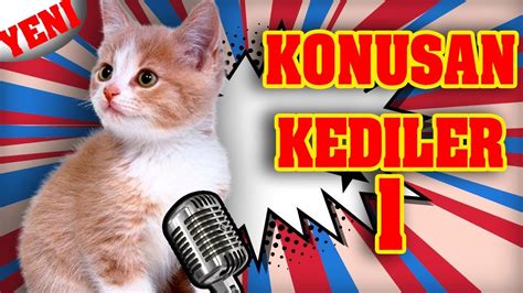 Konuşan Kediler 1 En Komik Kedi Videoları 🐶🐱 Youtube