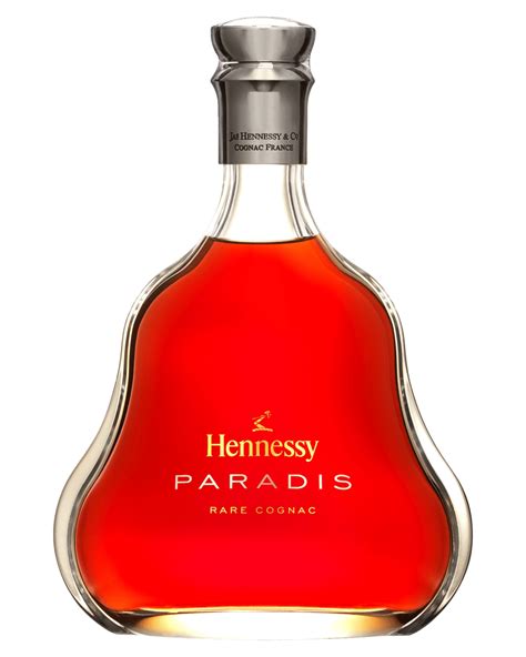 カテゴリ Hennessy By ルンるんs Shop｜ラクマ Paradis Extraの通販 ヘネシー Banderillaveracruzgobmx