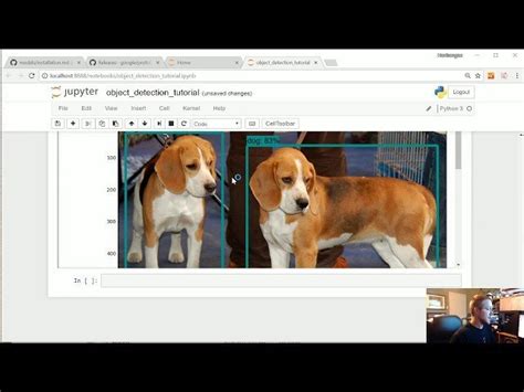 Free Course Tensorflow Object Detection Api From Youtube Class Central