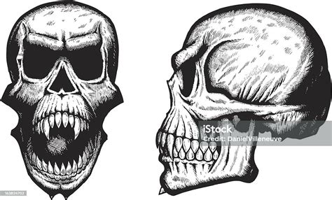 Scary Skulls Stock Illustration Download Image Now Human Skull