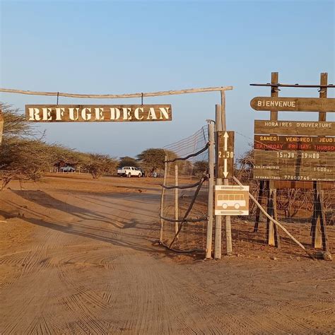 Refuge Decan Djibouti All You Need To Know Before You Go