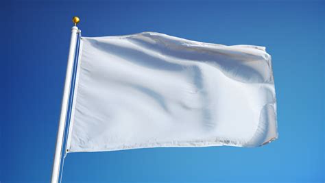 Black Blank Flag Waving In The Wind Against White Background Stock