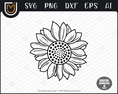 Cute Sunflower SVG Sunflower PNG Flower Svg for Sunflower | Etsy