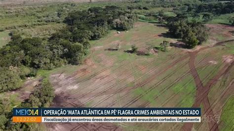 Operação Mata Atlântica em pé flagra crimes ambientais no Paraná