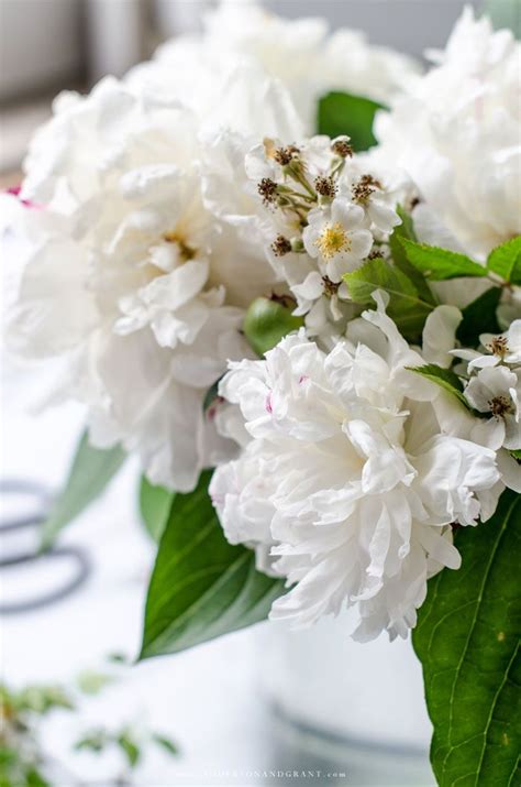 Basic Rules Of Flower Arranging 9 Ways To Arrange Flowers Like A Pro