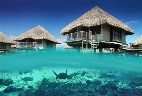 4 Most Beautiful Water Bungalows In Bora Bora Dreamhotels
