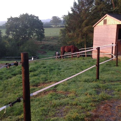 We offer innovative products that will give you peace of mind knowing at a glance that your electric fence is doing its job and. HORSES / Electric Fencing Direct | Electric Fencing Direct