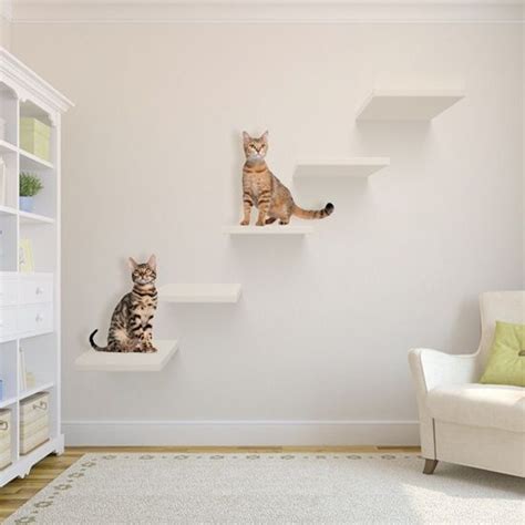30 Modern Diy Cat Playground Ideas In Your Interior Homemydesign