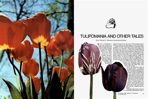 Tulipomania And Other Tales Architectural Digest Mayjune 1972