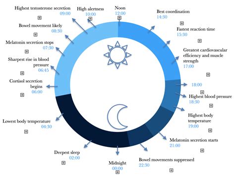 The Importance Of Circadian Rhythms James Eagle Fitness