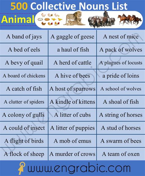 A collective noun can be followed by a singular or a plural verb depending on whether we're talking about the group as a single entity a pack of dogs/hounds/hyenas/wolves. Collective Nouns for Animals in 2020 | Collective nouns ...