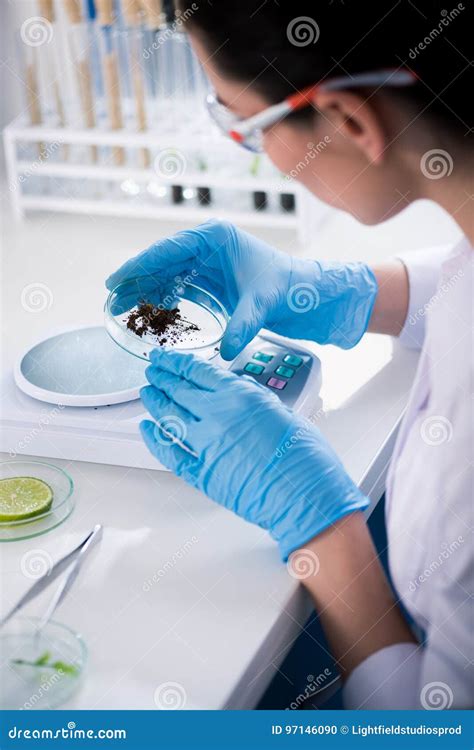 Scientist During Work At Modern Biological Laboratory Stock Photo