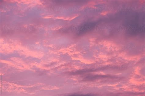 Pink Sunset By Stocksy Contributor Pixel Stories Stocksy