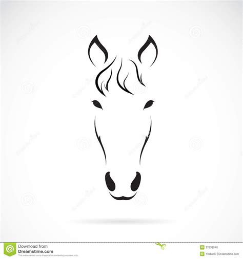Vector Image Of An Horse Face Stock Vector Illustration Of Face Fast