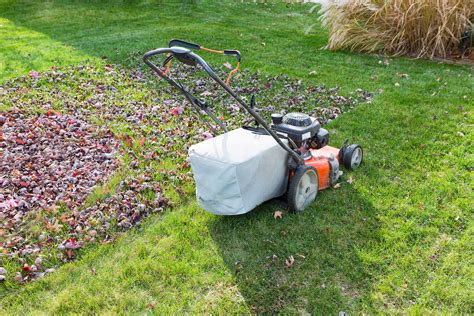 The Guide To Fall Lawn Maintenance For A Flourshing Yard Next Spring