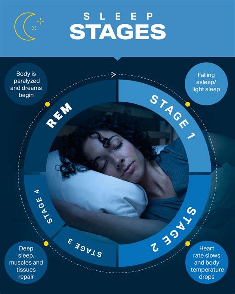 Understanding Sleep Cycles And How To Improve Sleep Wellness