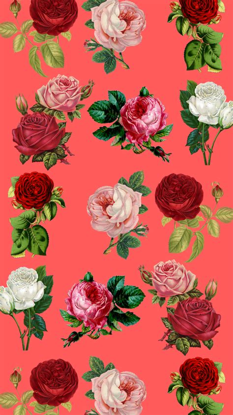 Rose wallpaper \u2013 gooniesdocumentary pin by full hd. 7 Pretty Floral iPhone 8 & 8 Plus HD Wallpapers | Preppy ...