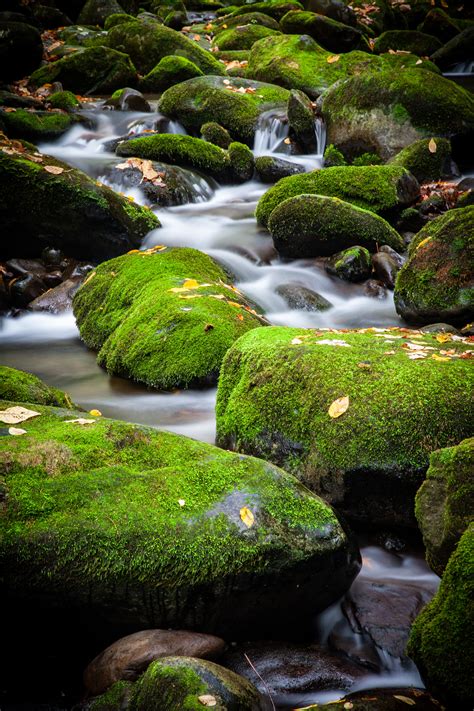A Small Cascade Over Moss Covered Rocks In Great Smoky Mountains