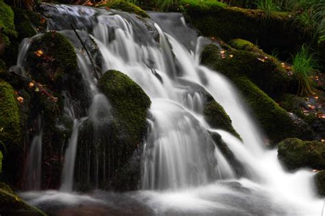 Free Picture Water Moss Stream Nature Waterfall Photograph Wood