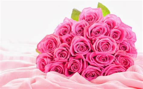 Art Pictures Pink Rose Bouquet Wallpapers