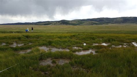 Blm Assessment Inventory And Monitoring Colorado Wetland Information