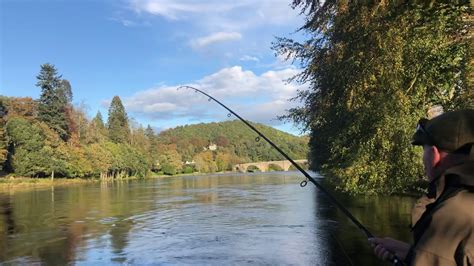 Salmon Fishing River Tay Youtube